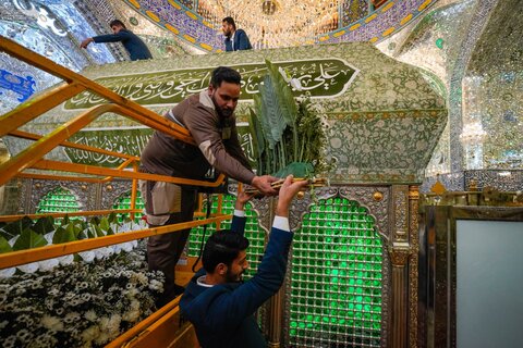 تزيين الضريح العلويّ بورود طبيعيّة احتفاءً بذكرى ولادة السيدة زينب (عليها السلام)
