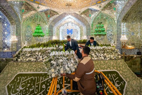 تزيين الضريح العلويّ بورود طبيعيّة احتفاءً بذكرى ولادة السيدة زينب (عليها السلام)