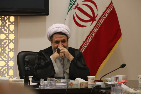 تصاویر/ شورای فرهنگ عمومی استان کرمان