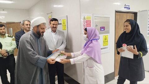 تصاویر/ تجلیل از پرستاران در دیلم