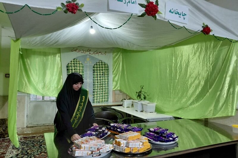 حضرت زینب(س)، الگویی از صبر و ایثار برای بانوان مسلمان است+تصاویر