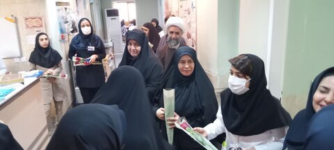 تصاویر / تجلیل از پرستاران بیمارستان شهدای خلیج فارس بوشهر