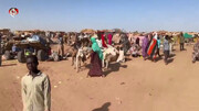 مقتل 2000 مدني سوداني خلال يومين في الفاشر (فيديو)