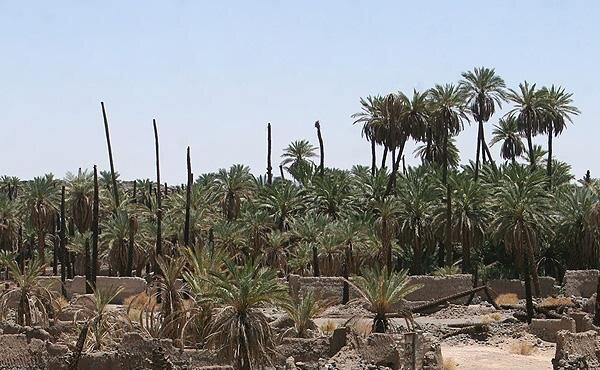 इंटरव्यूः ख़ुत्बा ए फ़दाकिया इंसाफ़, तौहीद और अहले-बैत के हक़ की आवाज़