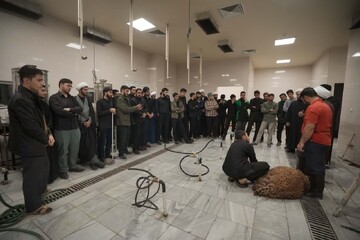 تصاویر/ برگزاری کارگاه آموزش ذبح‌شرعی