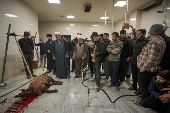 تصاویر/ برگزاری کارگاه آموزش ذبح‌شرعی