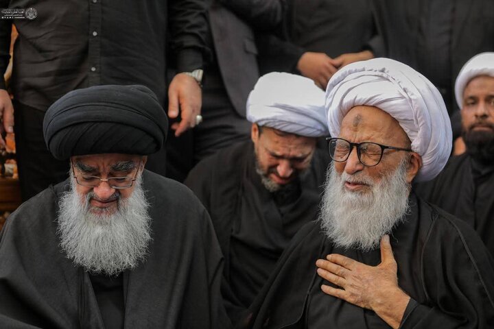 جلوس عزائے فاطمیہ نجف اشرف