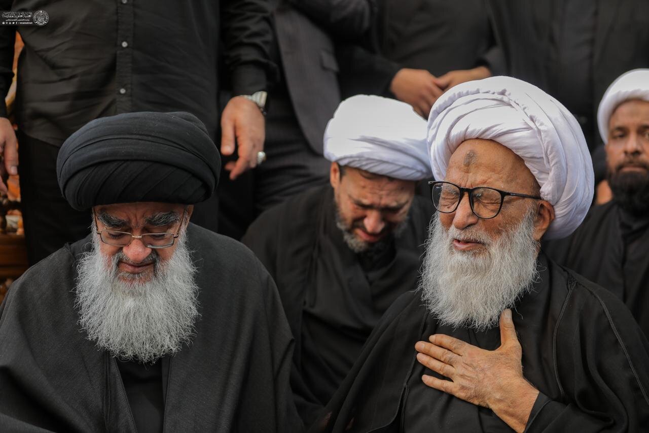 फ़ोटो / नजफ़ अशरफ़ में अय्याम ए फ़ातिमा का भव्य जुलूस, आयातुल्लाहिल उज़्मा हाफ़िज़ बशीर हुसैन नजफ़ी की शिरकत