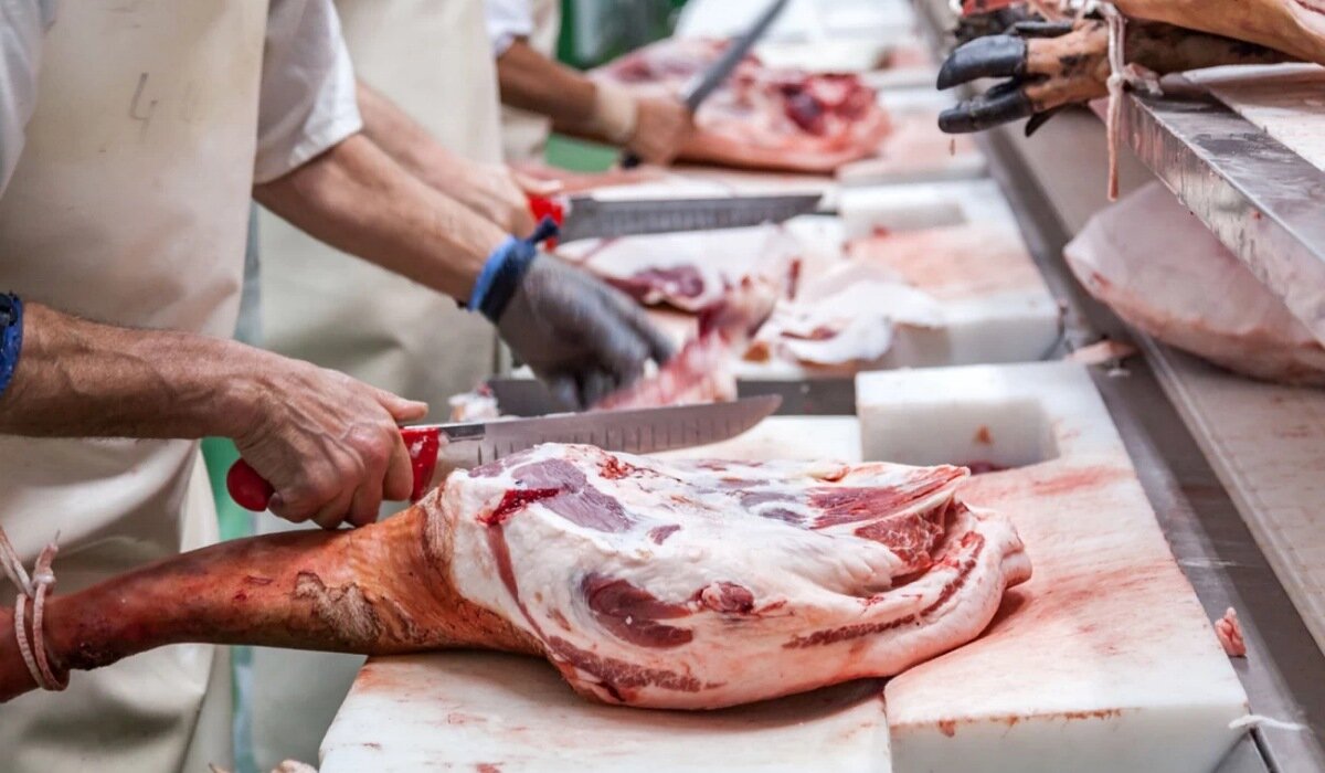 शरई अहकाम | क्या ज़िब्ह किए गए जानवर के शरीर में बचा हुआ खून नजिस है?