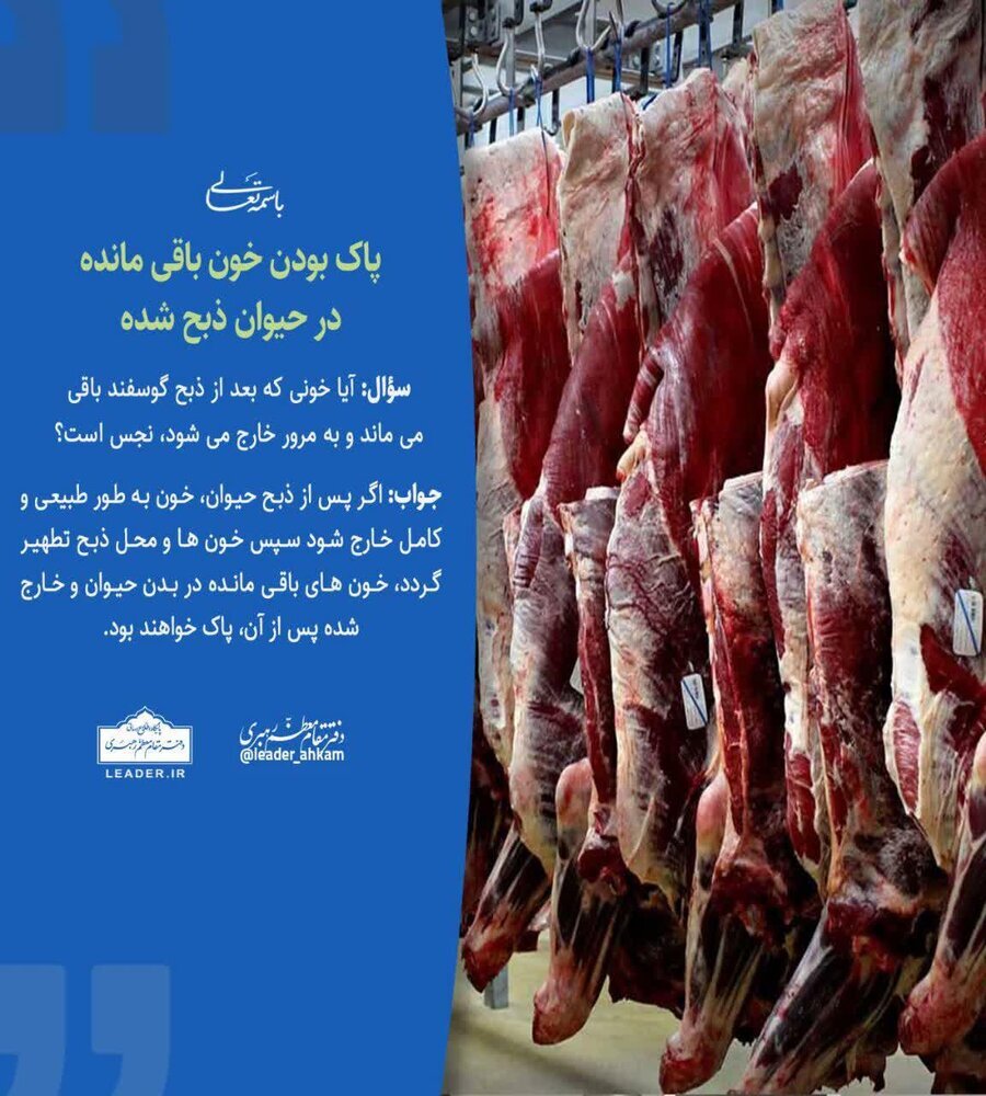 احکام شرعی | آیا خون باقیمانده در حیوان ذبح شده، نجس است؟