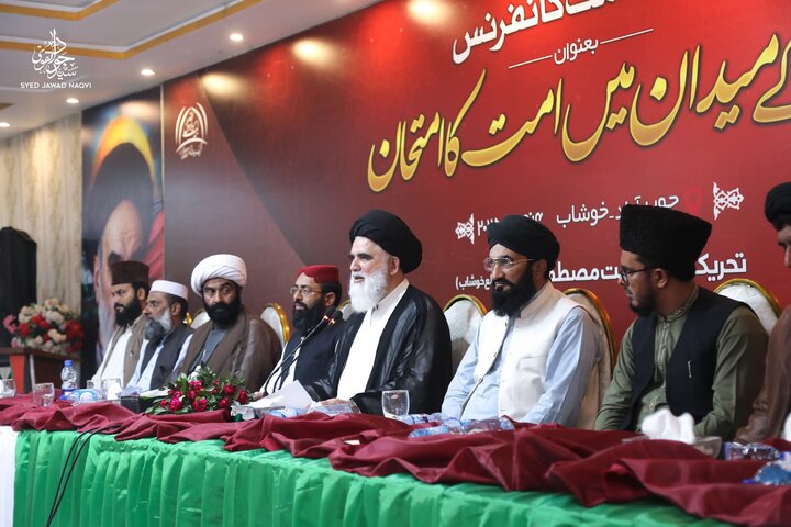 امت نے غزہ میں وہ کردار ادا نہیں کیا جو قرآن و شریعت کا تقاضہ تھا، علامہ سید جواد نقوی