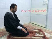 احکام شرعی | کیا نمازِ مستحب میں دو سجدوں کے درمیان بیٹھنا واجب ہے؟