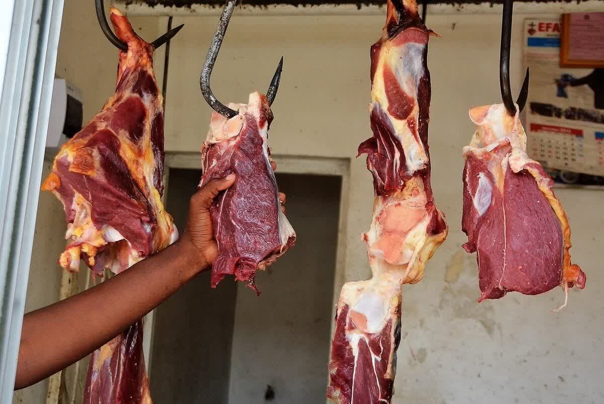 Je, damu inayobakia kwa mnyama baada ya kuchinjwa ni najisi?