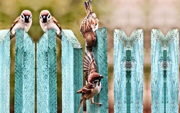 چه کسی محبوب‌ترین بنده خداست؟