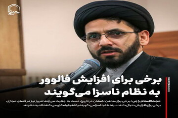 عکس نوشت| برخی برای افزایش دنبال کننده به نظام ناسزا می‌گویند