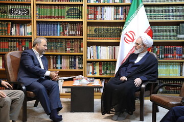 تصاویر/ دیدار رئیس مرکز امور اتباع و مهاجرین خارجی وزارت کشور با آیت الله اعرافی