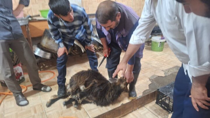 تصاویر/ کارگاه آموزش ذبح شرعی در مدرسه علمیه امام خمینی (ره) خوی