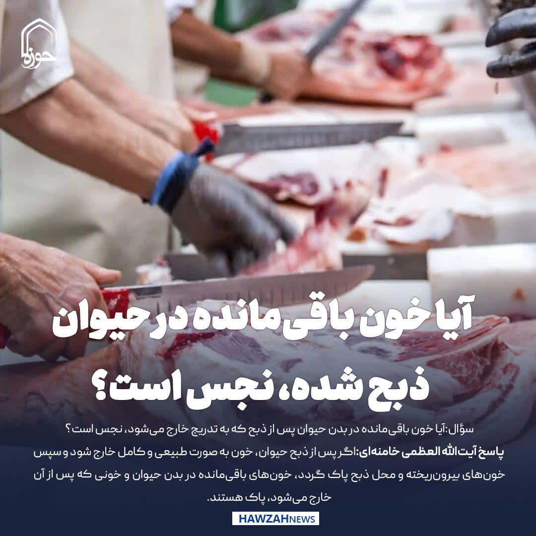 عکس نوشت| آیا خون باقی‌مانده در حیوان ذبح شده، نجس است؟
