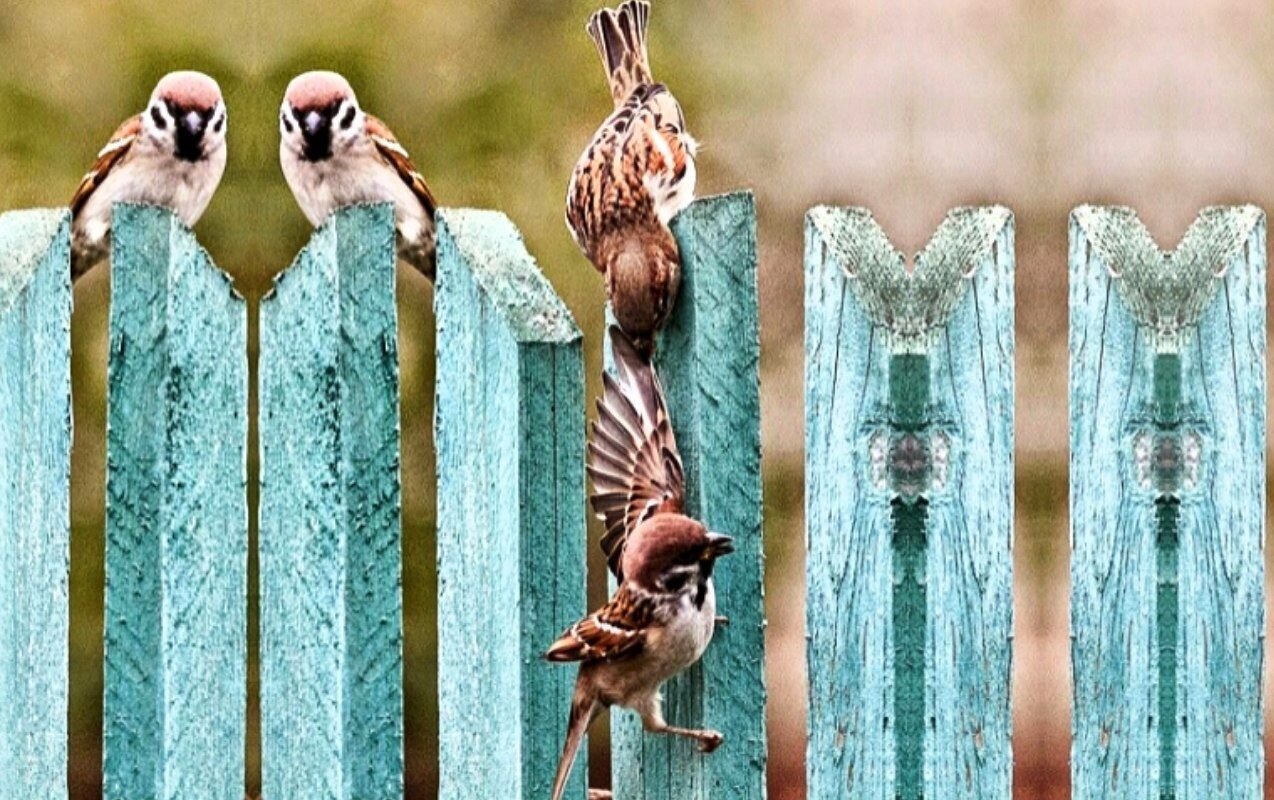 من هو أحبّ الخلق إلى اللّه؟