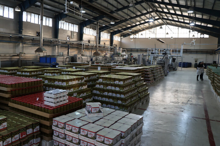 تصاویر | بازدید امام جمعه زنجان در شهرک صنعتی و بازدید از کارخانه‌های فرآوری زیتون شهرستان طارم