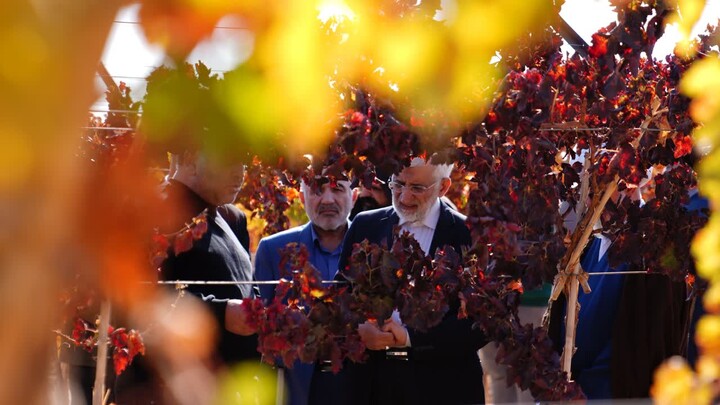 تصاویر/ سفر نماینده مقام معظم رهبری در شورای عالی امنیت ملی به شاهرود
