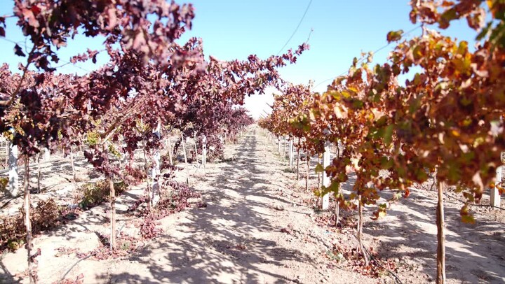 تصاویر/ سفر نماینده مقام معظم رهبری در شورای عالی امنیت ملی به شاهرود