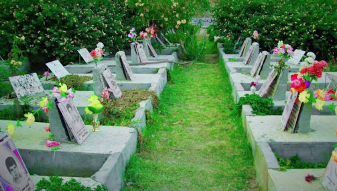 مقال | شرط الشهادة أن تحيا شهيدًا