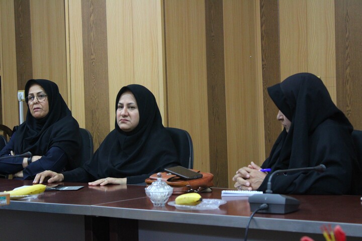 تصاویر/ نشست مشترک مشاوران بانوان دستگاه‌های اجرایی شهر کرمان