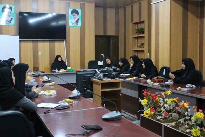 تصاویر/ نشست مشترک مشاوران بانوان دستگاه‌های اجرایی شهر کرمان