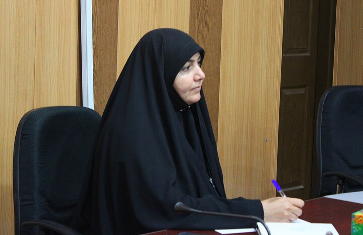 تصاویر/ نشست مشترک مشاوران بانوان دستگاه‌های اجرایی شهر کرمان