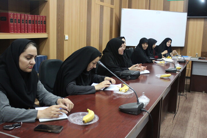 تصاویر/ نشست مشترک مشاوران بانوان دستگاه‌های اجرایی شهر کرمان