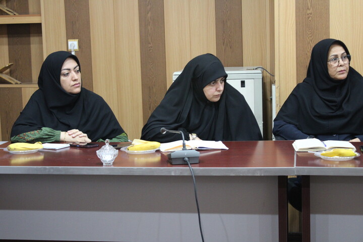 تصاویر/ نشست مشترک مشاوران بانوان دستگاه‌های اجرایی شهر کرمان