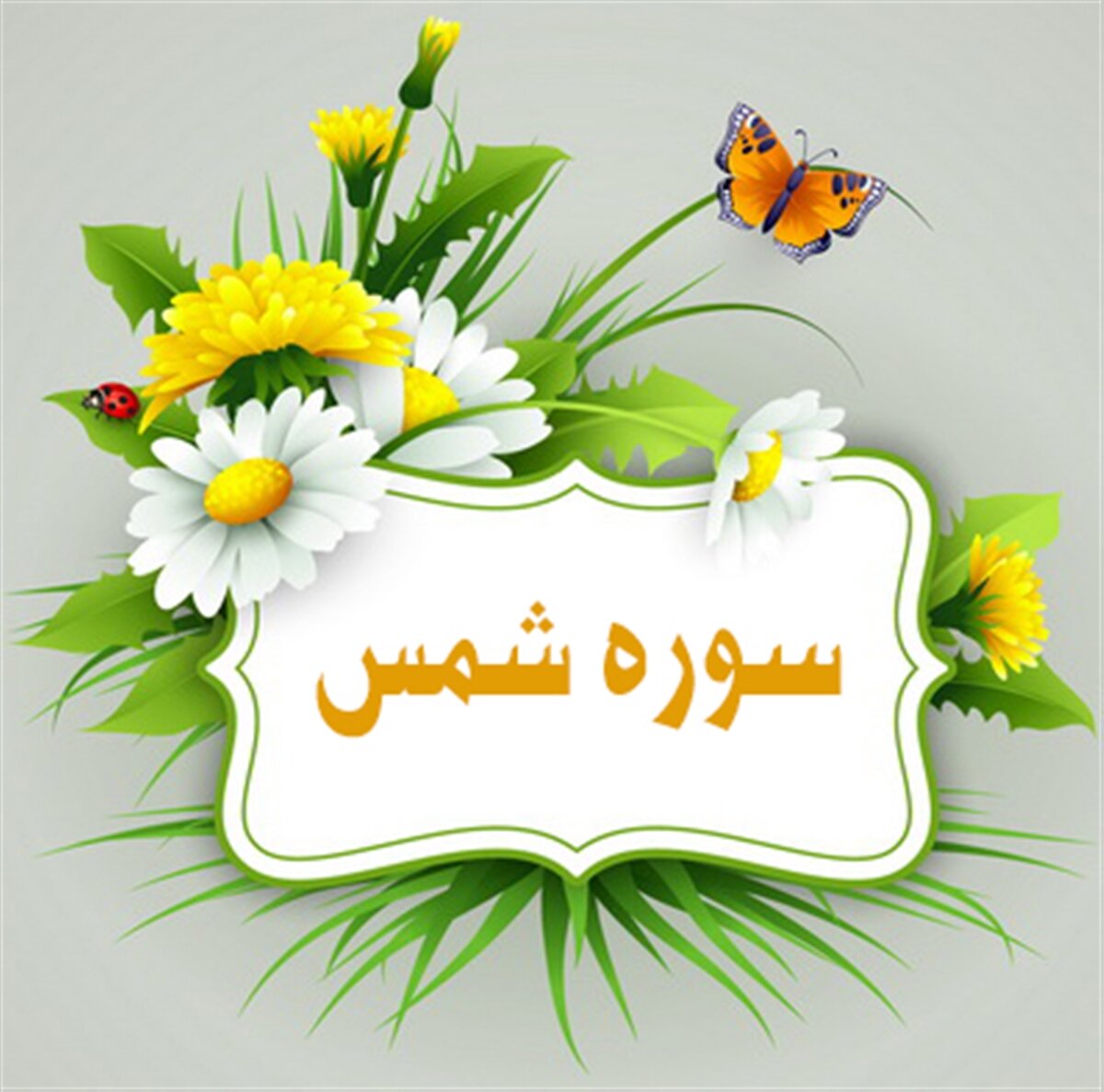 بازخوانی تفسیر روایی سوره شمس در گفت‌وگو با استاد حوزه