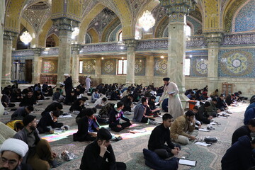 برگزاری مسابقات علمی «تاریخ و سیره پیامبر اکرم(ص)» در قم + تصاویر