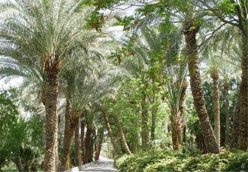 फ़िदक; हज़रत फ़ातेमा ज़हरा ल.स. की जागीर