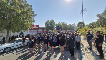 فیلم| قهرمانان بر دوش بوشهری‌ها