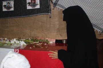 تصاویر / استقبال بانوان شهرستان بویین زهرا از شهدای گمنام