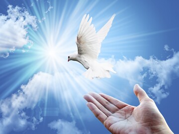 محکوم به قصاص در دامغان با رضایت اولیای‌دم بخشیده شد