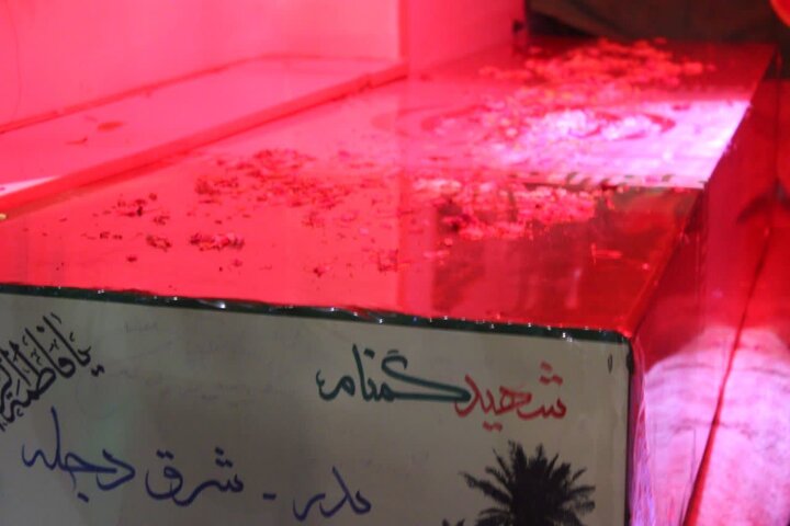 تصاویر / استقبال بانوان شهرستان بویین زهرا از شهدای گمنام