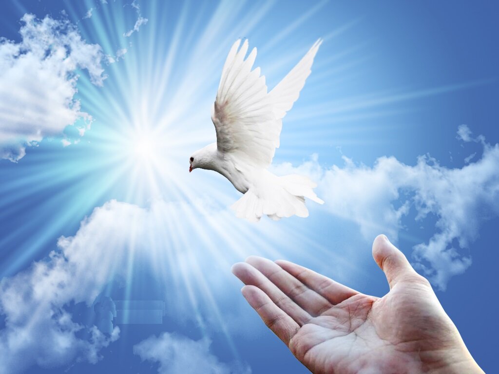 محکوم به قصاص در دامغان با رضایت اولیای‌دم بخشیده شد