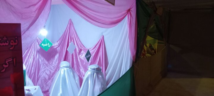 تصاویر/ نمایشگاه یاس کبود در مدرسه علمیه خواهران کنگان