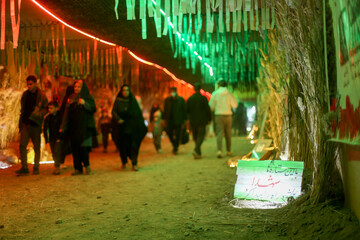 تصاویر| اولین اجلاسیه شهدای نهبندان