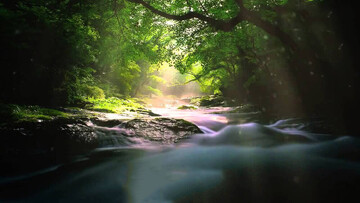 Do Not Sell Yourself for Less Than Paradise