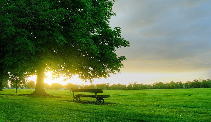 Pelajaran dari Al-Qur'an | Ayat yang Mengembalikan Ketenangan dalam Hidup