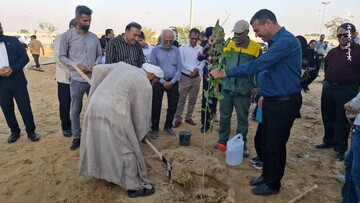 پویش درختکاری «هر شهروند، یک نهال» در پارک جنگلی عالیشهر برگزار شد