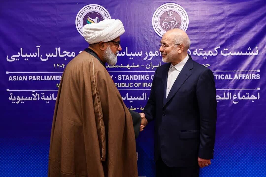 ایران میں ایشیائی پارلیمانی اسمبلی کی سیاسی کمیٹی کا اہم اجلاس؛ پاکستان کی نمائندگی میں سینیٹر علامہ راجہ ناصر عباس جعفری کی شرکت