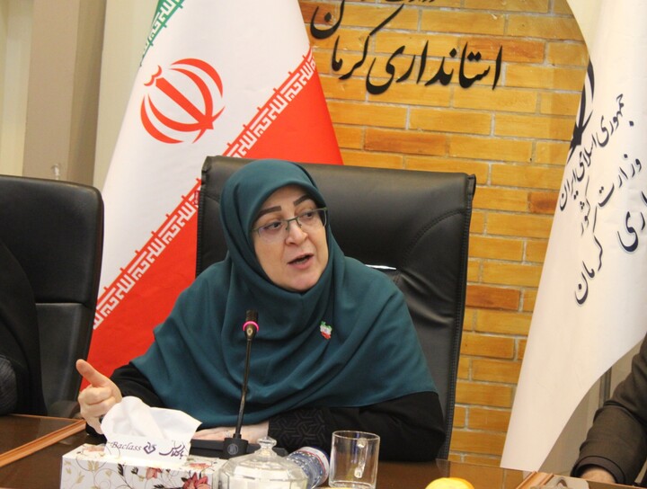 تصاویر/ نشست سخنگوى دولت با جمعى از مدیران زن استان کرمان