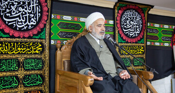 منابع روایی اهل سنت سرشار از فضائل اهل بیت علیهم السلام است