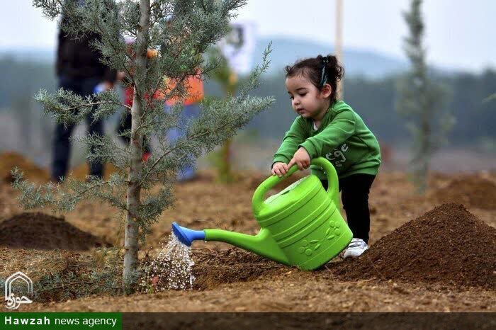 کاشت ۵ هزار اصله نهال در لرستان