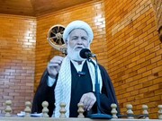 सय्यदा का किरदार; इंसानी जिंदगी के तमाम क्षेत्र में अमली नमूना हैःअल्लामा शेख़ हसन सरवरी